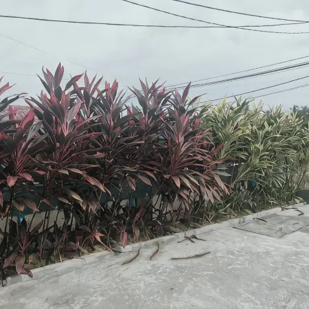 Seri Mersing Villa
