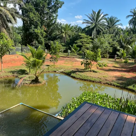 Darisa Home