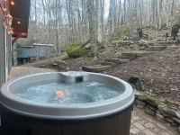 The Bear Dance Chalet
