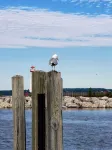 Coastal Living in the heart of St. Ignace.