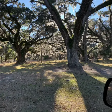 Live Oak Lodge at Mauresina River Plantation