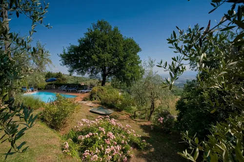 XII century farmhouse on the hills above Lucca with chef. Only local food.