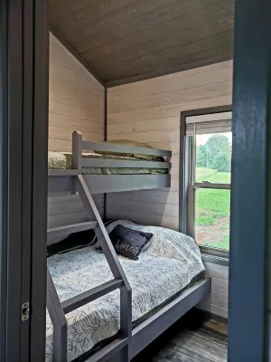 Comfy Home Near Ozark-Francis National Forest, Bdrx, & Buckhorn Ohv Trails