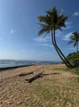 Sunrise Central on the Beach! Only you and the view! Relax to the sound of waves - ビーチサイド