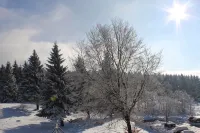App with Air Conditioning, Pool, Garage for Car, Bike, Skis, AktivCard Bayer.Wald Optional