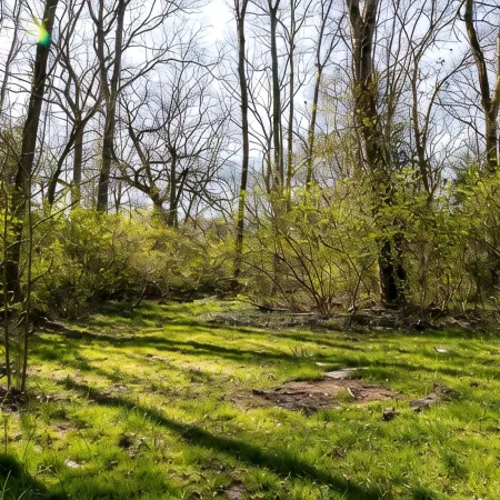 Creekside Getaway - Close to DT & Lake