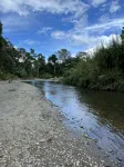 Kraken Cabin-escape in the jungle, abundance of wildlife,  walk to Golfito Bay. - 3-Star