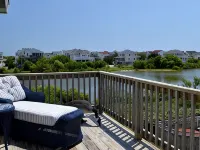 Corolla Adventures Right Outside Your Door! Hotels in Corolla