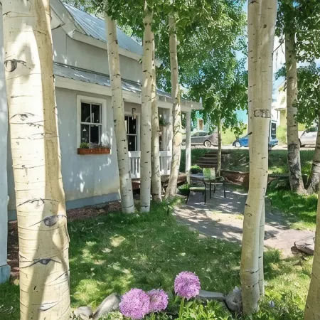 Fully Renovated In-Town Family-Friendly Home