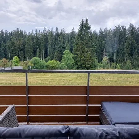 Cozy vacation apartment 'Lieblingsplatz' with pool and sauna