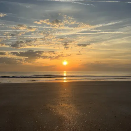 Pet friendly beach house w/private backyard & outdoor shower- steps from beach