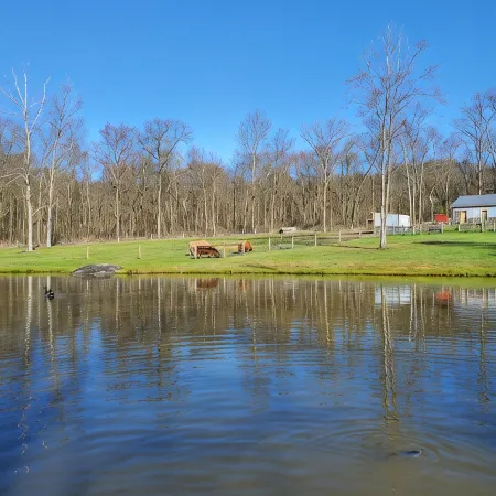 Farm Stay -Hideaway Haven Farm