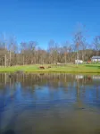 Farm Stay -Hideaway Haven Farm - Homestays