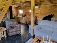 Cozy cabin retreat close to kayaking and hiking trails. Hotels in Ozark County