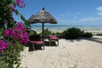 Seafront private villa at Jambiani Beach, Zanzibar - Villas