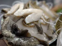가타하마소 - 2성급