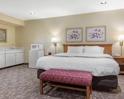 Quality Inn Washington Court House Hotels in Fayette County