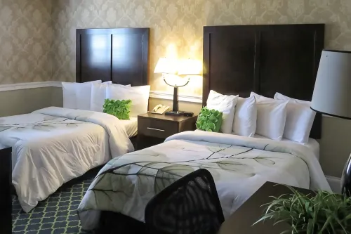 Rodeway Inn Logan International Airport - Parkplatz