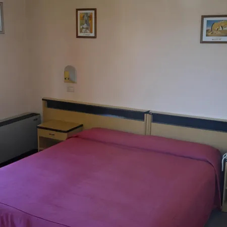 Hotel Centrale Отели в г. Арджента
