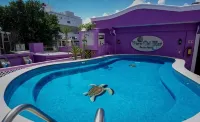 Hotel Vista del Mar - إطلالة على البحر