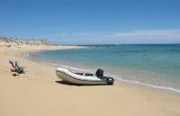 Casa Bella Beachfront. in Town. White Sandy Beaches & Palmas Pickleball Nextdoor - ビーチサイド
