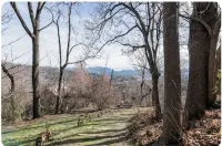 Nestled Garden Oasis with Mountain Views 5 Minutes to Downtown! - Condos