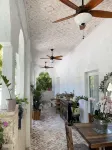 Clean, New, Spacious, in Coconut Grove! - Bungalows