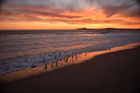 Stylish Seaside Guest House, Walking to Beach - 4 stjerner