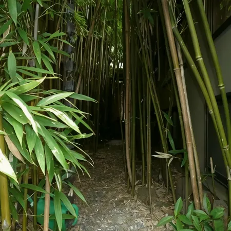 Kappo Ryokan Kyutei