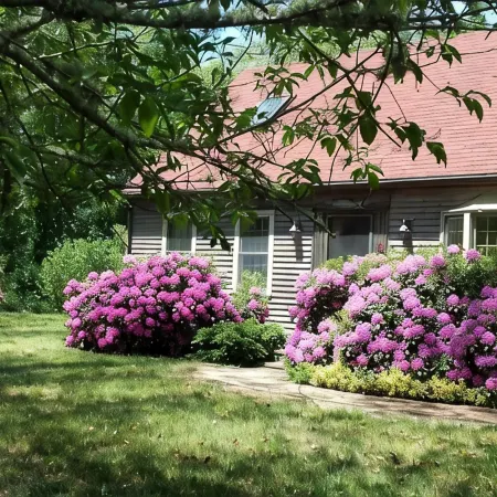 " The Eastham Cape House"