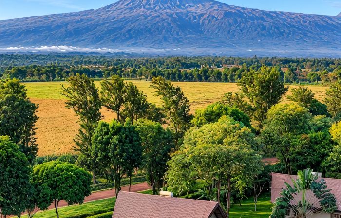 Weruweru River Lodge