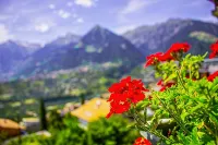 Schenna Garni Eden Bed & Breakfast - Mountain View