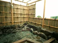 真鶴半島 グルメと天然温泉の宿 ペンションSHIOSAI - 温泉