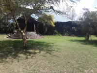 Cactus Eco Camp and Lodge