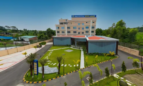 Nepalirika Hotel Biratchowk