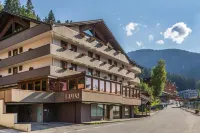 Luna Wellness Hotel Hotel di Commezzadura