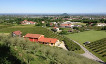 Agrialpi by Salfrutta