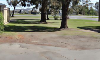 a tree - lined street with a dilapidated concrete walkway in the middle , surrounded by trees and grass at Peppinella Motel