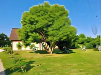 Le Clos Poli Hôtels à : Montigny-les-Monts