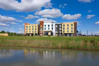 Fairfield Inn & Suites Tampa Wesley Chapel Hotels near Dade City＇s Wild Things