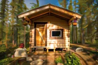Blackburn Cabins - McCarthy, Alaska Отели в г. 