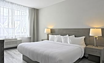 Repotel Levis