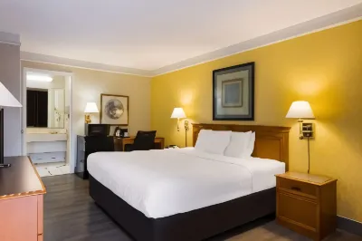 Super 8 by Wyndham Savannah Hotels in Savannah