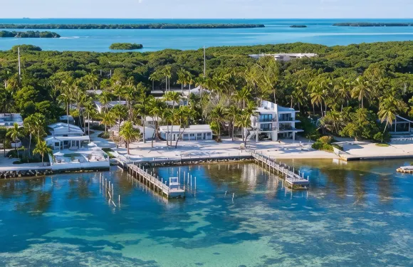 松樹-棕櫚樹度假酒店