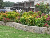 Red Carpet Inn - Augusta Hotels near Augusta Technical College