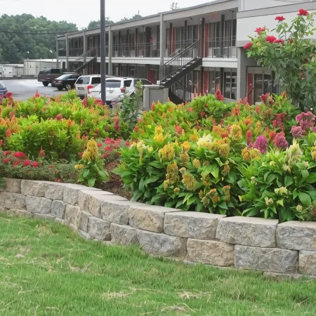 Red Carpet Inn - Augusta
