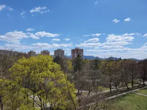 Bee Welcome