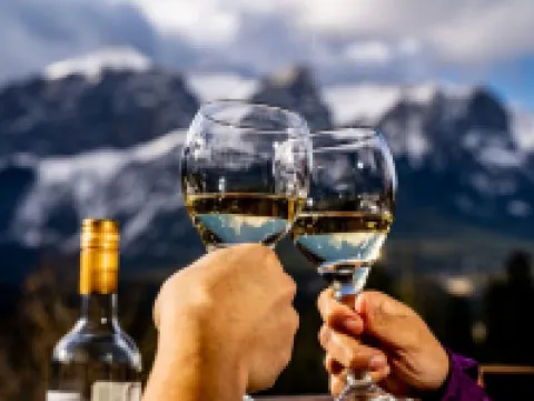 ファルコン クレスト ロッジ バイ クリーク キャンモアのホテル