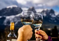 集團獵鷹峯山林小屋酒店