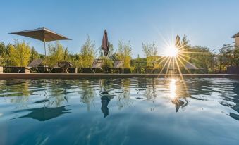 Hostellerie du Passeur - Hôtel & Restaurant - Climatisation et Piscine chauffée